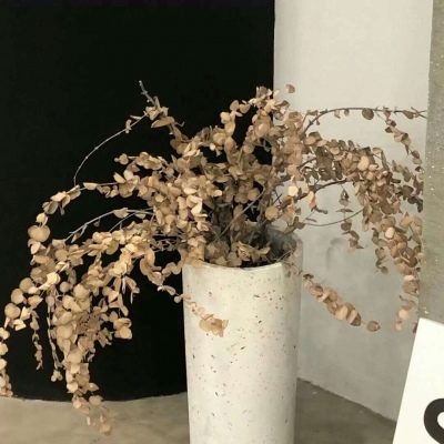 南岳FurryQQ群介绍